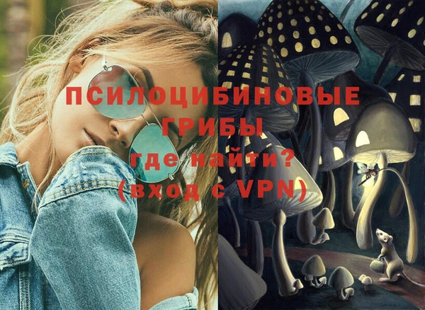 герыч Богородск
