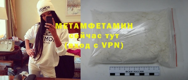 ГАЛЛЮЦИНОГЕННЫЕ ГРИБЫ Богданович