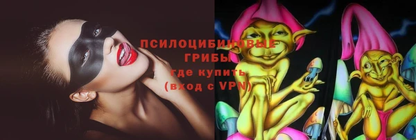 ГАЛЛЮЦИНОГЕННЫЕ ГРИБЫ Богданович