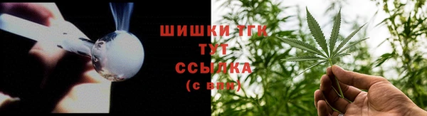 ГАЛЛЮЦИНОГЕННЫЕ ГРИБЫ Богданович