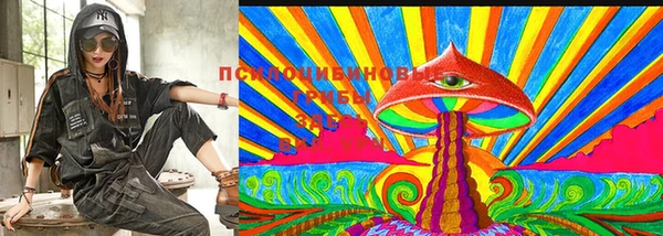 ГАЛЛЮЦИНОГЕННЫЕ ГРИБЫ Богданович