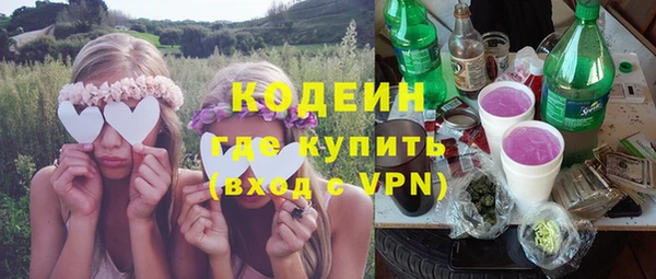 ГАЛЛЮЦИНОГЕННЫЕ ГРИБЫ Богданович