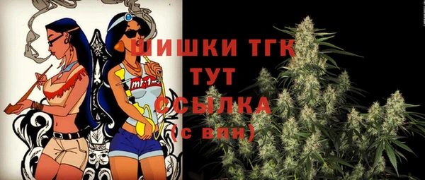 ГАЛЛЮЦИНОГЕННЫЕ ГРИБЫ Богданович