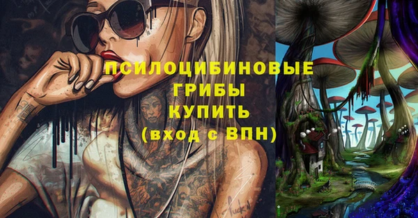 ГАЛЛЮЦИНОГЕННЫЕ ГРИБЫ Богданович